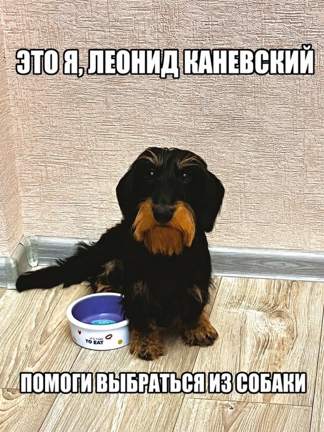 Похож?⁠⁠
