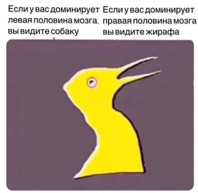 Если ты видишь дом — у тебя доминирует левое полушарие мозга. Если видишь собаку — правое