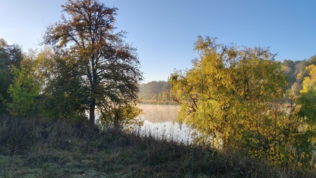 Вылазка за грибами