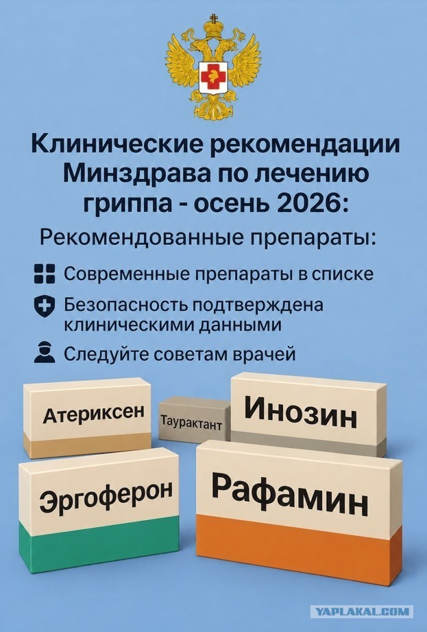 Пандемия гриппа на пороге: чем предлагают защищаться российские инфекционисты