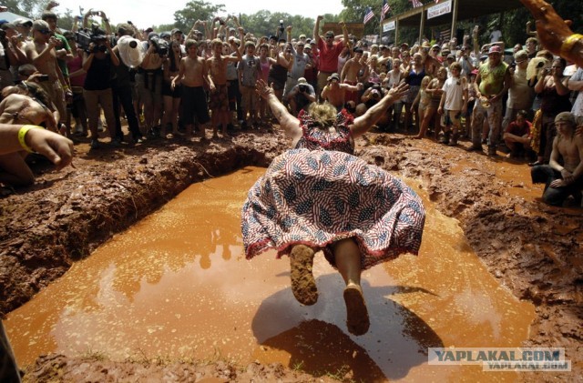 Во заживут то..