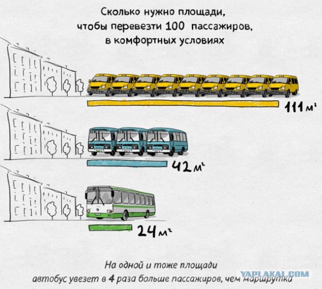 Фраза дня