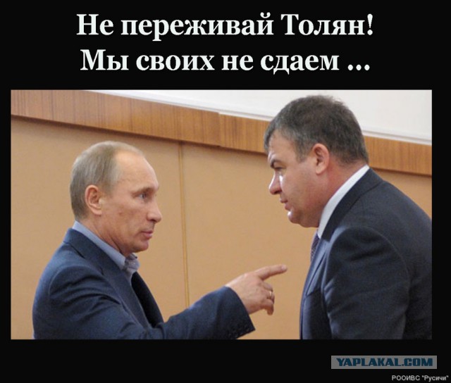 "Единая Россия" поддержала Сердюкова
