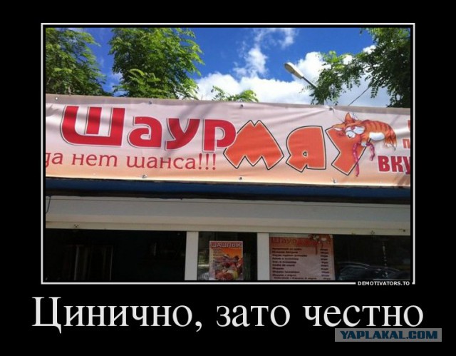 Маразмы месяца