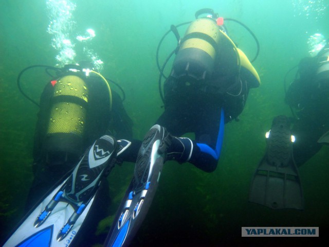 Мое хобби - дайвинг.