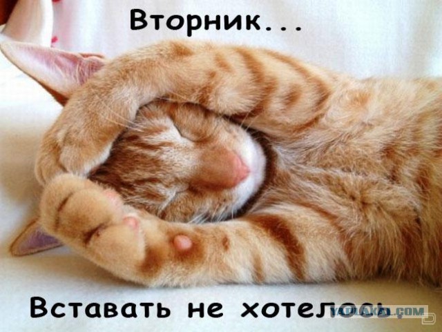 Чёрт, чёрт, чёрт!