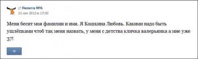 Бесконечная тема - смешные комментарии