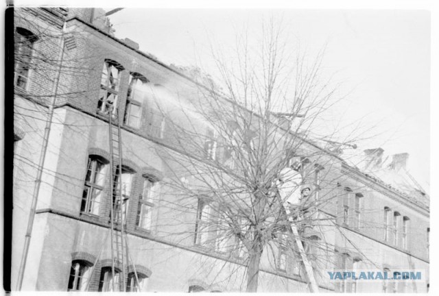 Обыкновенный фашизм