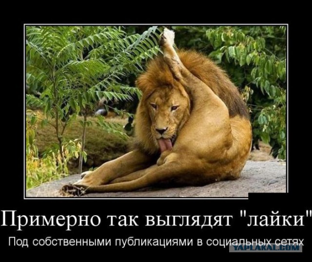 Давно демотиваторов не было
