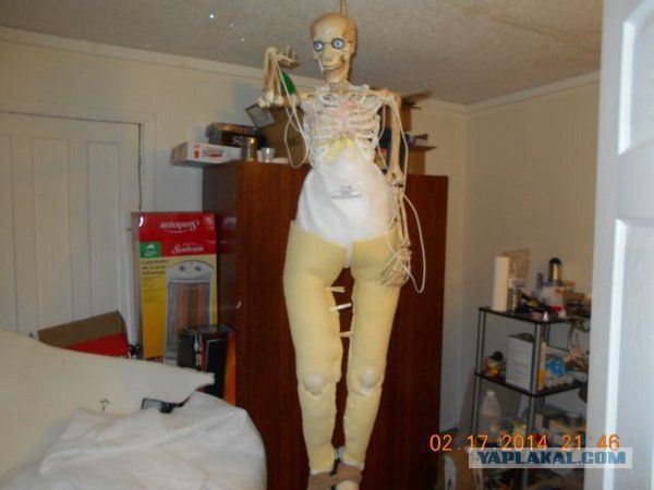 Секс-кукла должна быть анатомически правильной