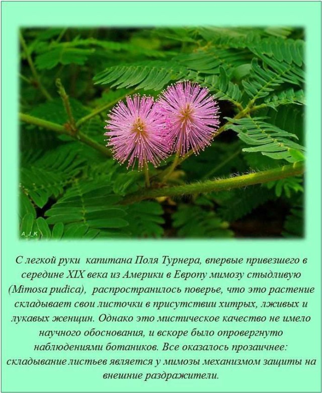 20 фактов обо всем