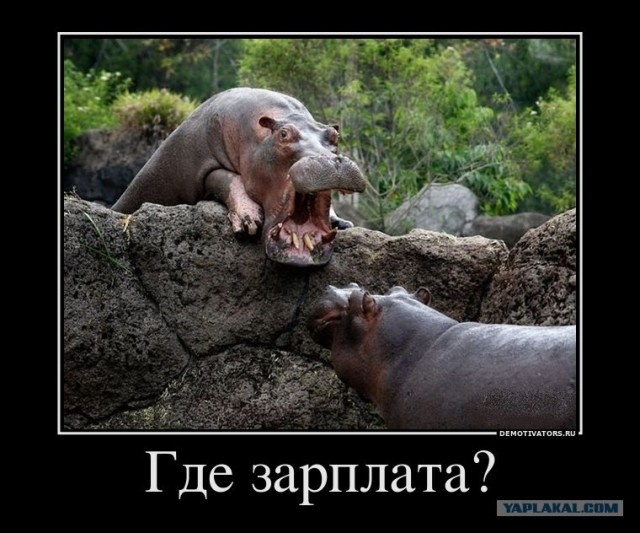 Необычная свадьба. Жена+муж