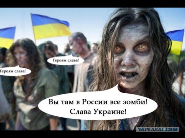 Полки донецких магазинов.