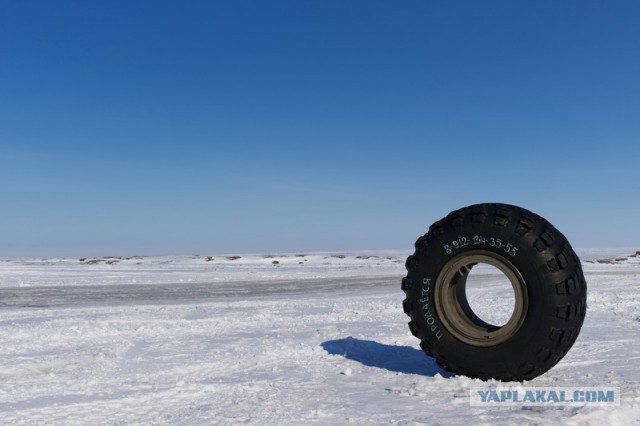 Заполярье