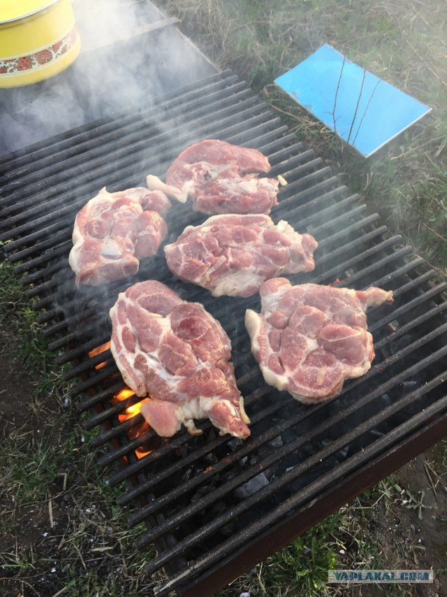 Решетка для мяса. Жарить это мое