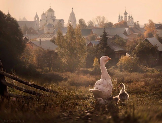 Фотографии из самых разных уголков планеты которые захватывают дух.