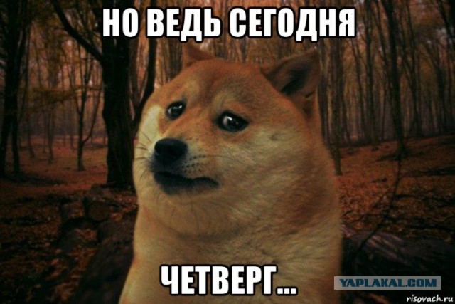 Все они понимают