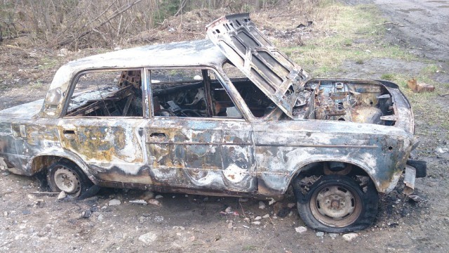 Дети сгорели заживо в салоне автомобиля под Новосибирском