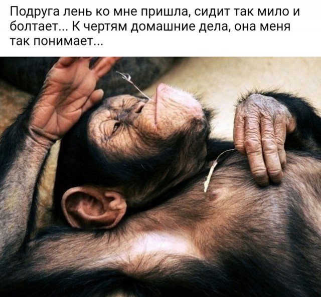 Просто юмор 23
