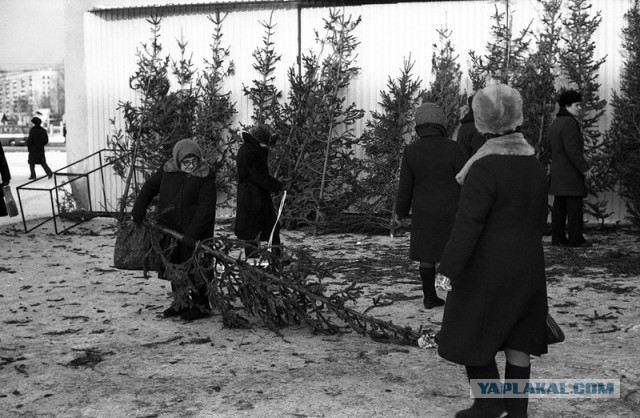 Как праздновали Новый Год в СССР, и чем он отличается от современного