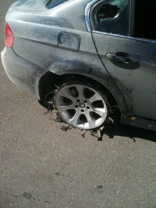 Распустили на лоскуты