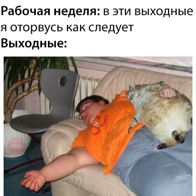 Нестандартный юмор