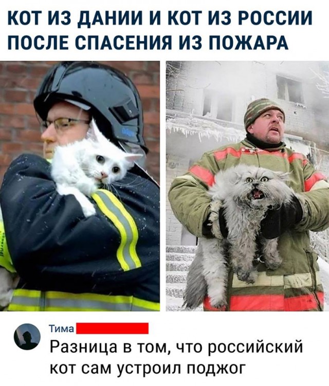 Пятница наступает! Пора начинать деградировать
