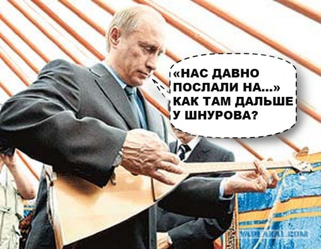 Шнуров ответил Путину