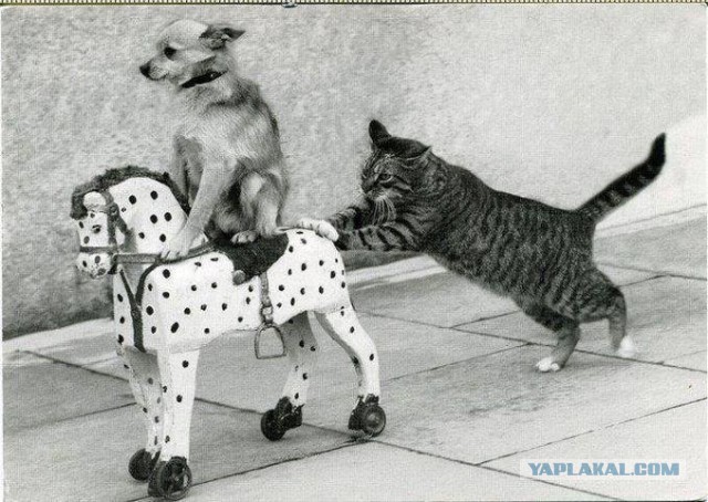 Полиция ищет росгвардейца, избившего подростка на митинге 3 августа до сотрясения мозга