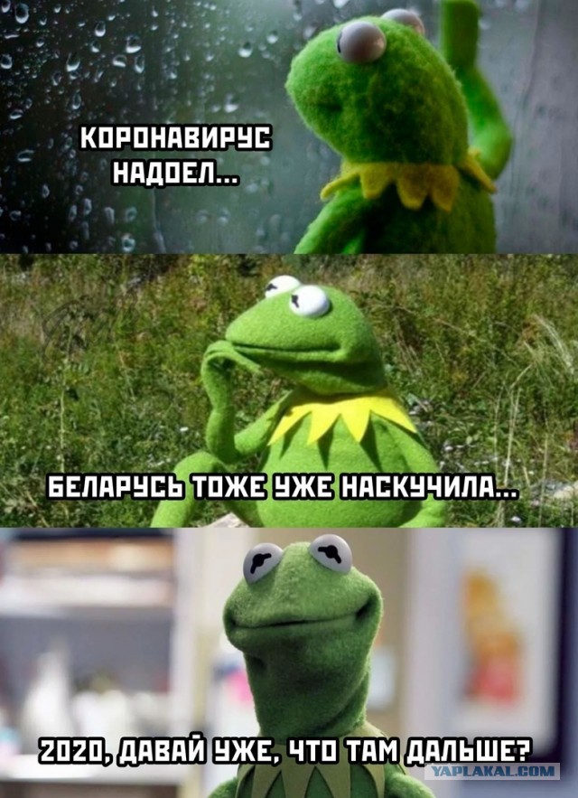 Протесты в Минске с элементами Монстрации