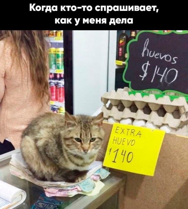 Не очень умные картинки