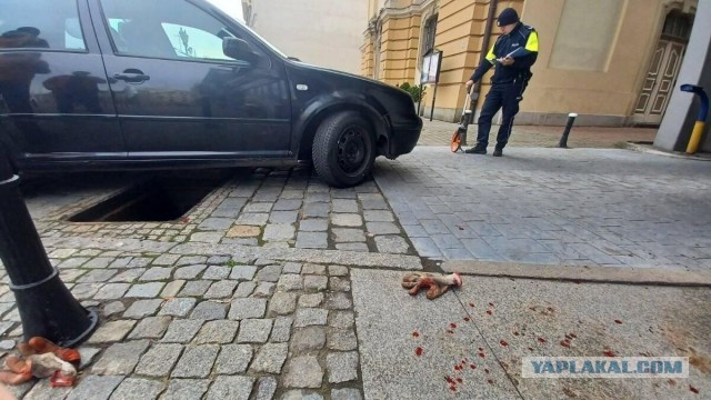 Украинские фанаты вывесили флаг России и попали в котёл на ровном месте