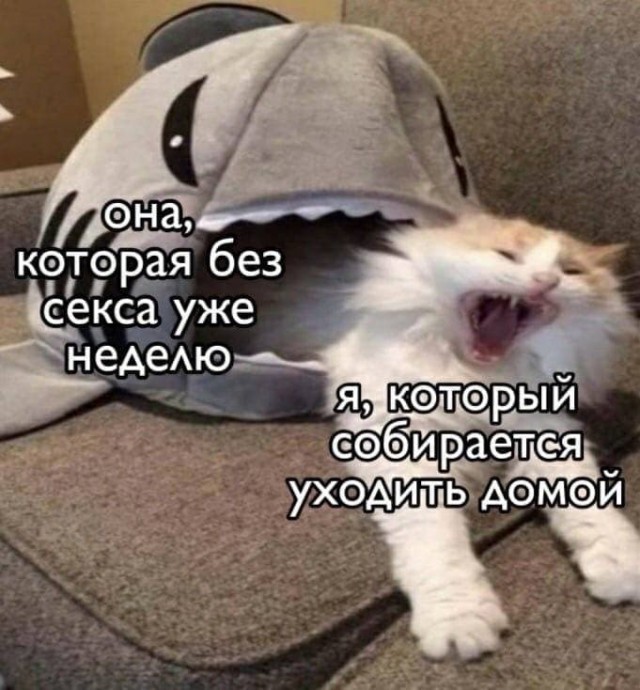 Картинки на пятницу 19.11.21