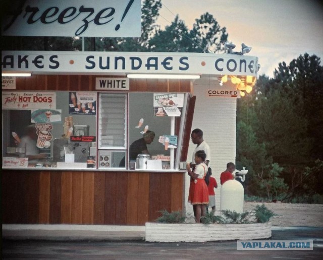 Появились кадры из автобуса, где пассажир брызнул в лицо кондуктору перцовым баллончиком.