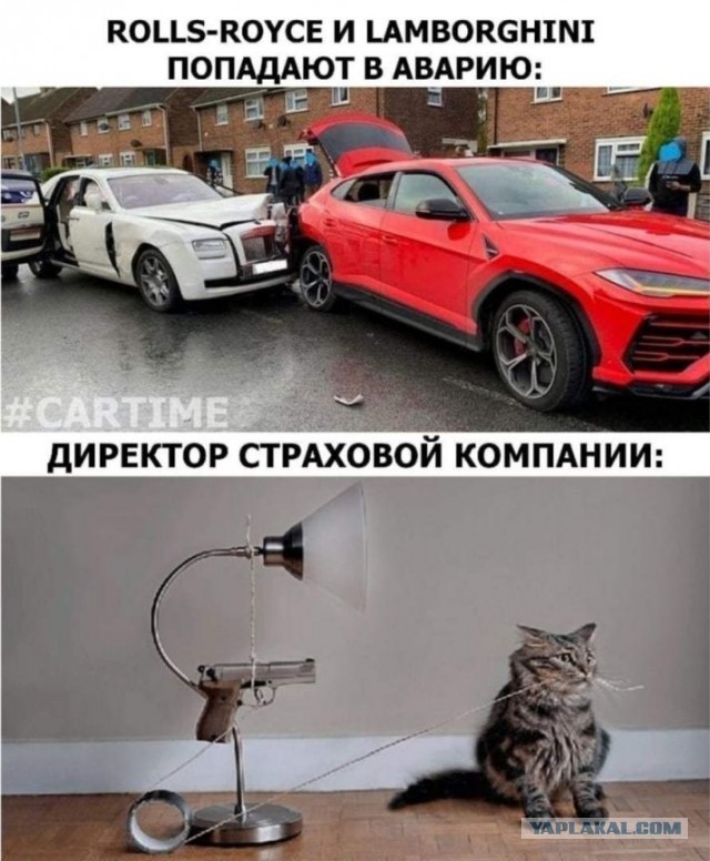 Есть два типа девушек и другие картинки 20.12.21