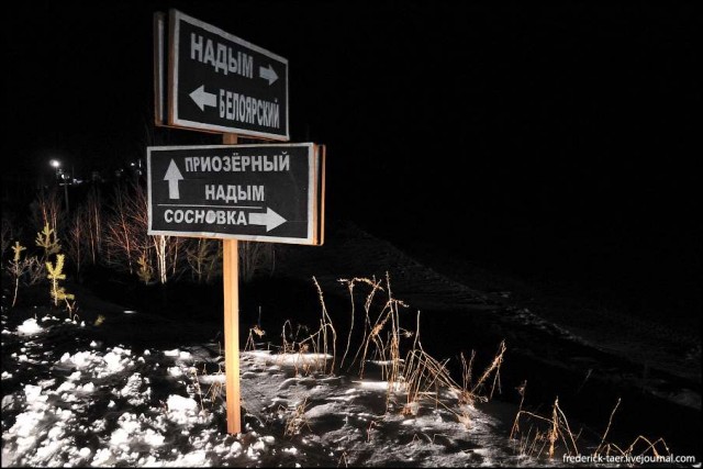 На Логане в Надым: новогодняя охота на комара