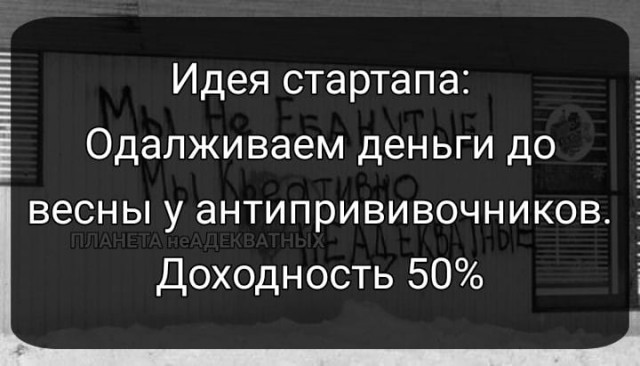 16406336.jpg