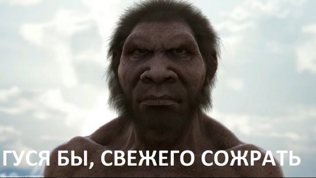 С полем!