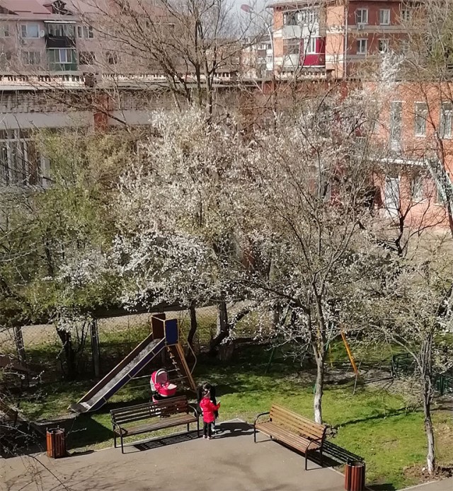 Фотки с телефона.