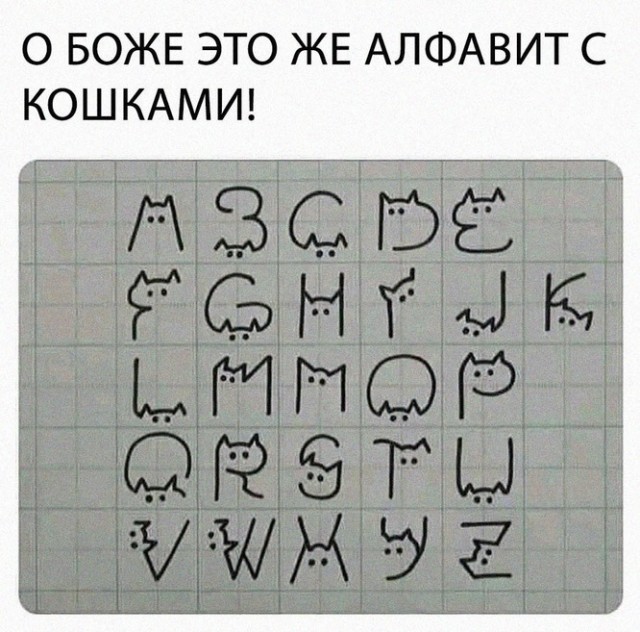 Весёлый полтишок 14.04.22