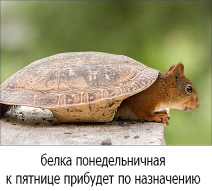 Пятничная Хня, для деградантов