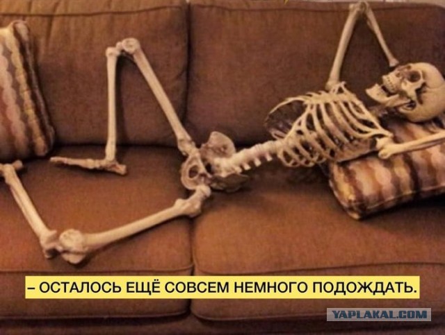 Новое российское оборудование будет «выращивать» сверхпрочные детали.