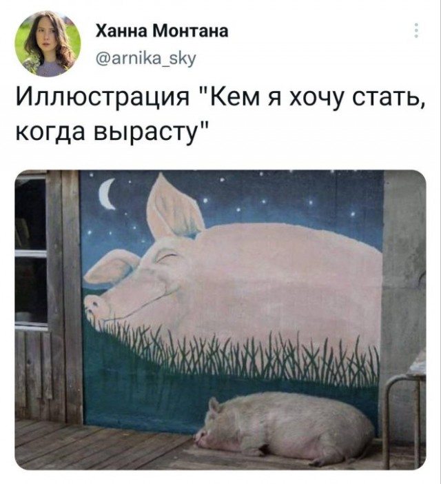 Картинки и мемы для настроения - 29