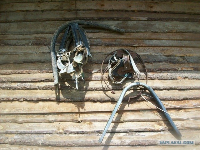 Праздник Ярилы Вешнего в Славянском Кремле