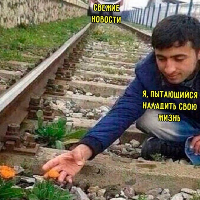 Картинки и мемы для настроения - 111