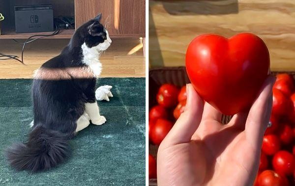 17 безупречных фотографий, которые являются идеальным воплощением слова «совершенство»