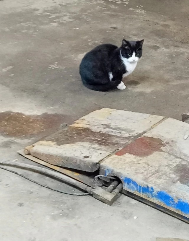 Милаха ещё одного друга привел!