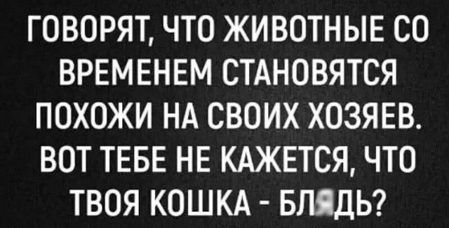 Пятница. И немного слегка пошлых картинок с надписями и без 16+ (02.12)