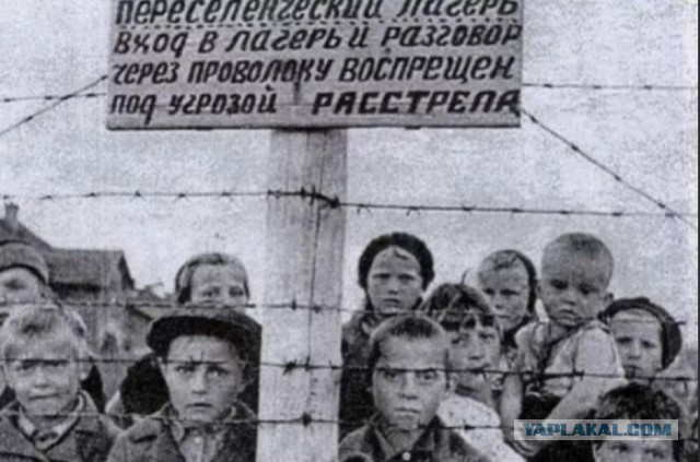 Казахского депутата за поддержку СВО исключили из партии!