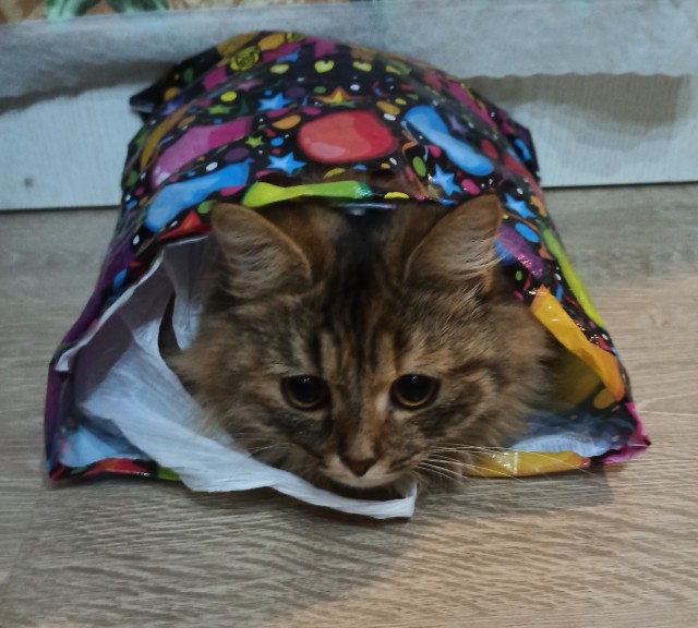 Дёмка вас желает видеть